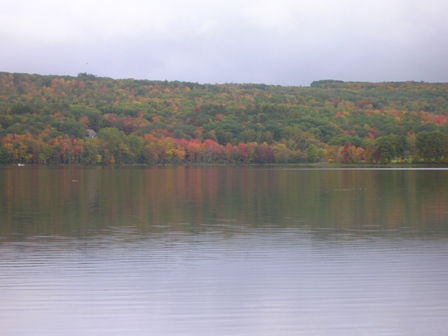 Round Pond Foliage